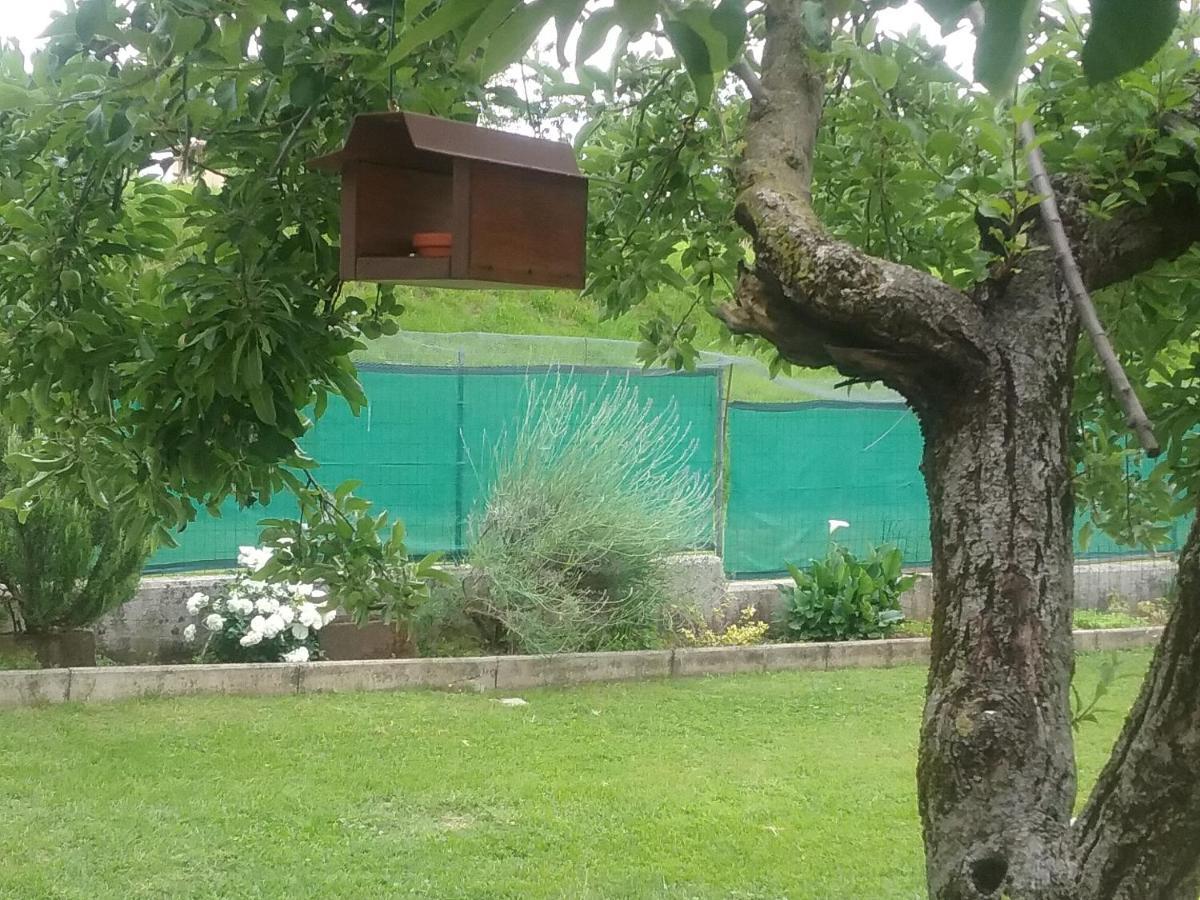 B&B Cuore San Daniele del Friuli Exterior foto